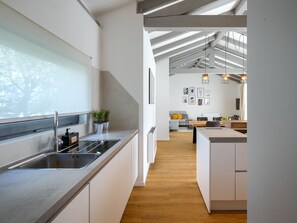 Fridge, microwave, oven, dishwasher - Villa Gala by Interhome (Jakovici)