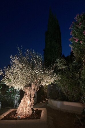 Property grounds - Kleine Villa an der Cote d´Azur by Interhome (Les Issambres)