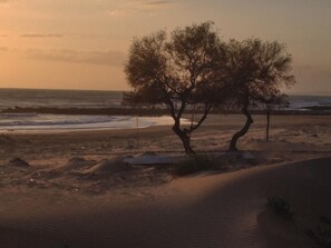 Strand