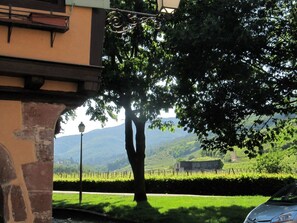 Property grounds - 1ed-Face Vosges,au Sud,coeur Vignoble,Calme,WiFi by Interhome (Ammerschwihr)