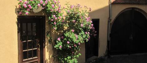 Détail de l’extérieur