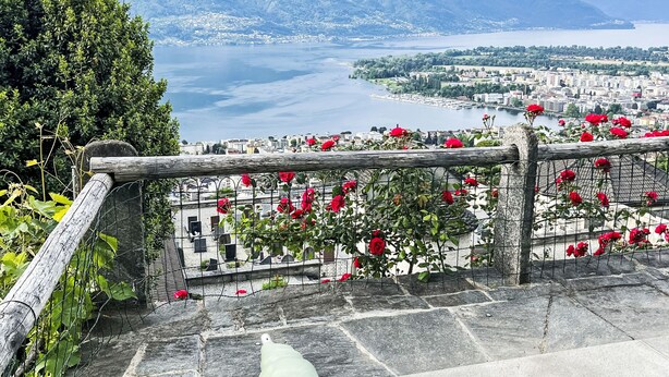 Eine steinerne Treppe führt zu einer Terrasse mit Blick auf einen See und Berge.