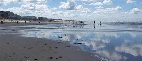 Playa