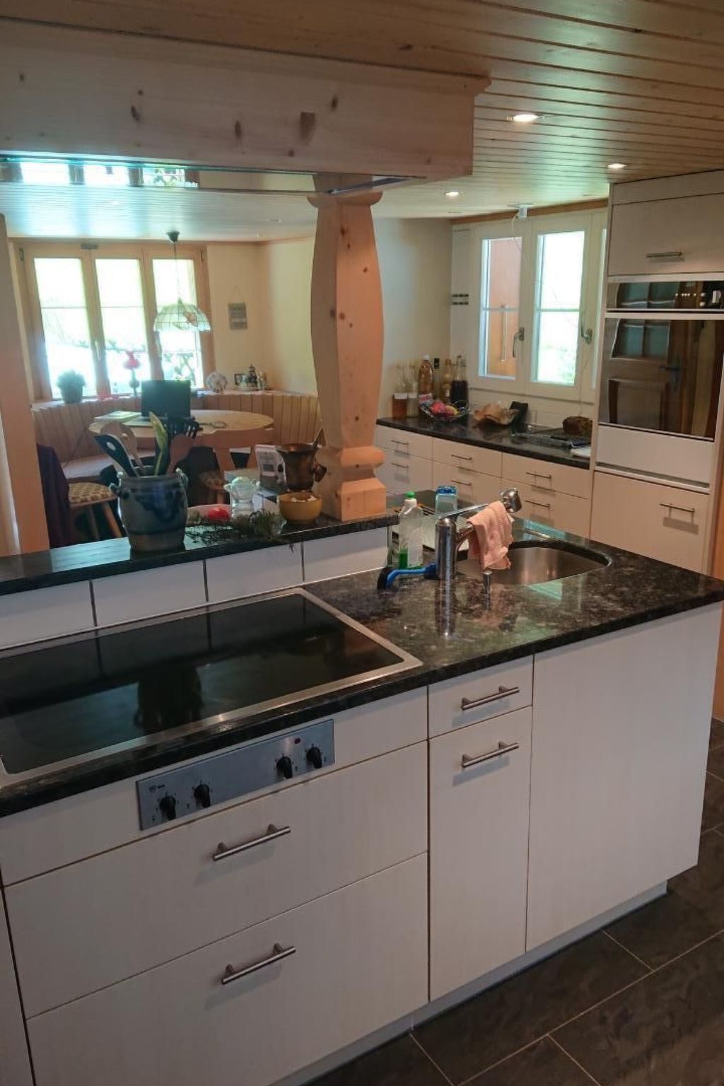 Fridge, oven, dishwasher, cookware/dishes/utensils