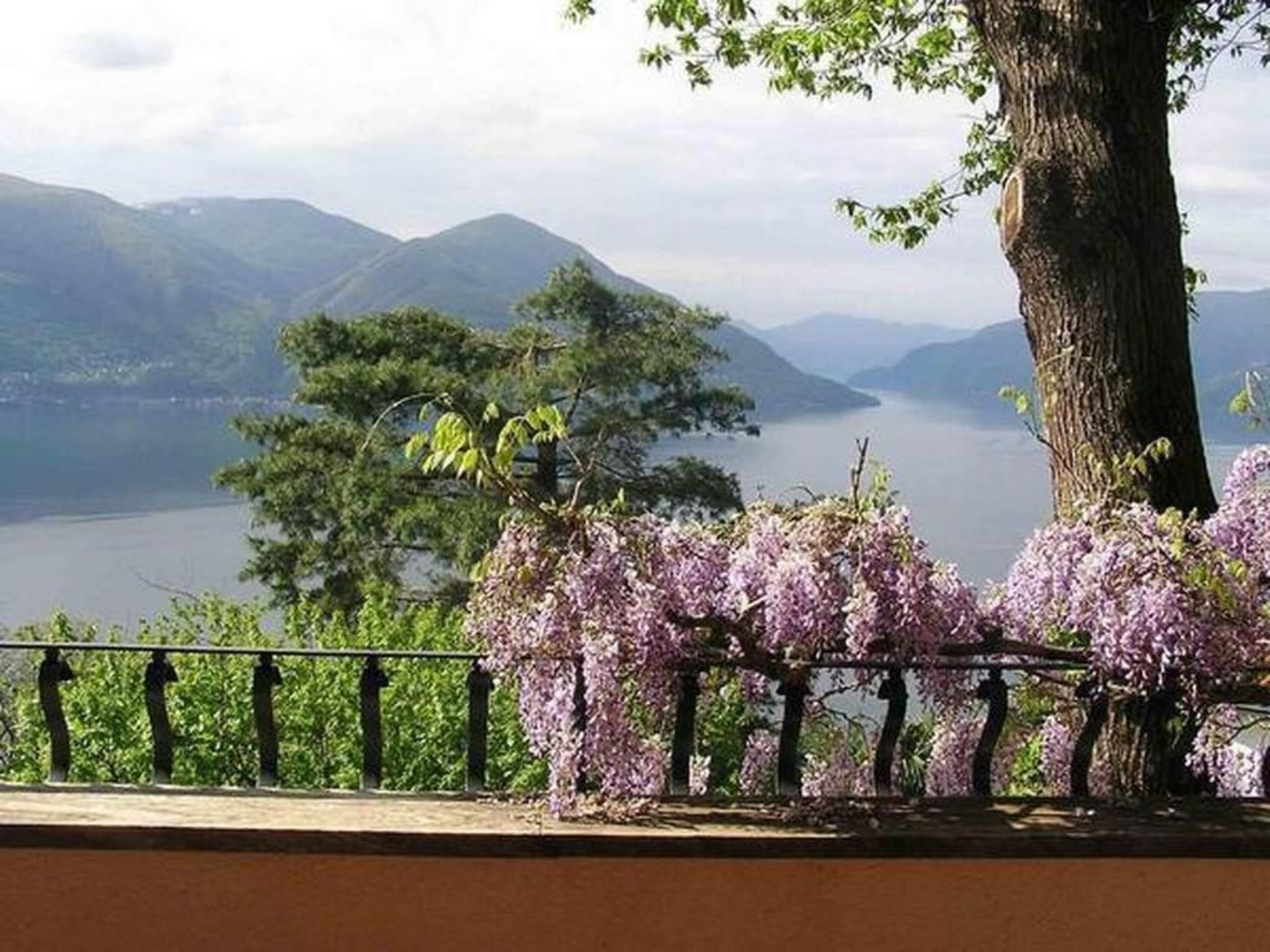 Ein malerischer Blick auf einen See mit Bergen im Hintergrund, ein Baum mit violetten Blüten im Vordergrund und ein Metallgeländer.