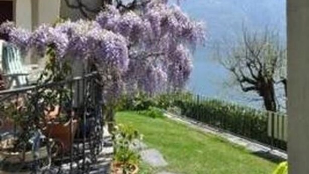 A view through a circular window of a balcony with a purple flowering tree, a lawn, and a mountain in the background. - Studio Cresta Bianca by Interhome (Ronco sopra Ascona)