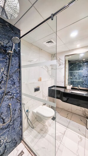 Shower, hair dryer, bidet, towels