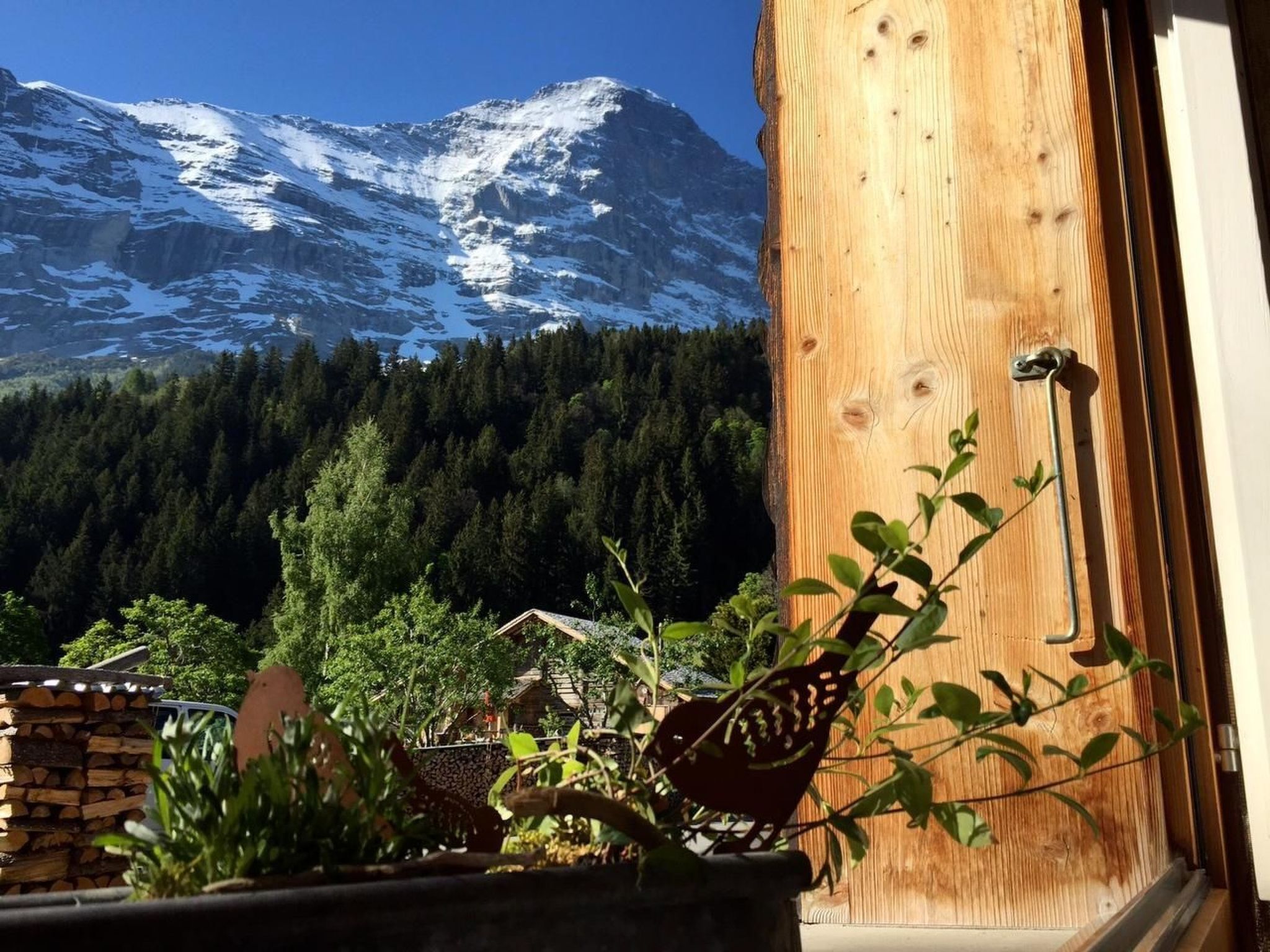 Uma porta de madeira com puxador de metal, vista para uma montanha nevada e área arborizada com plantas em vasos.