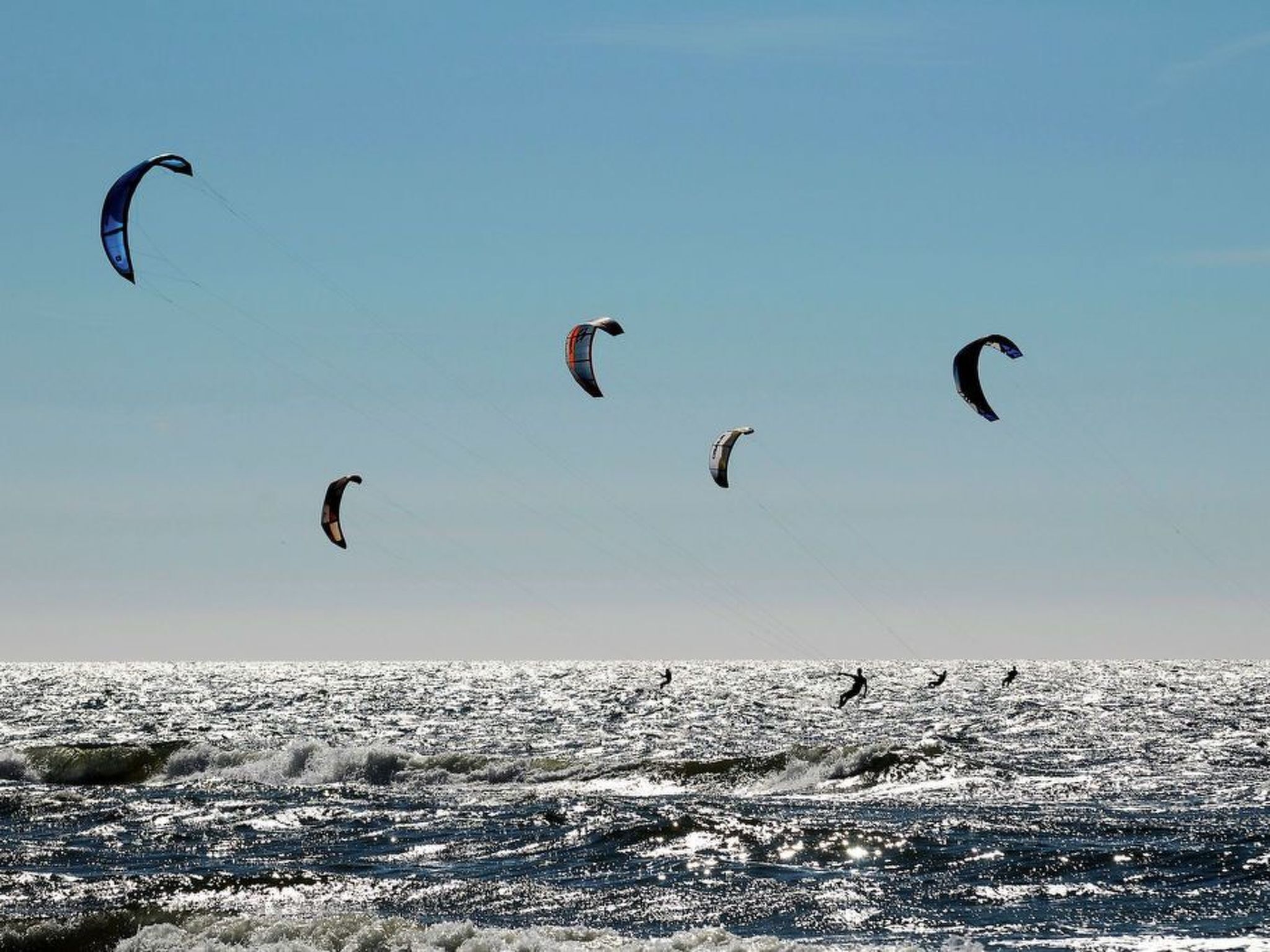 Uma praia com vários praticantes de kitesurf e pipas no céu.