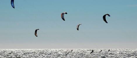 Uma praia com vários praticantes de kitesurf e pipas no céu.