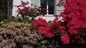 Een huis met witte gevels en luiken, omringd door weelderige begroeiing en levendige roze bloemen.