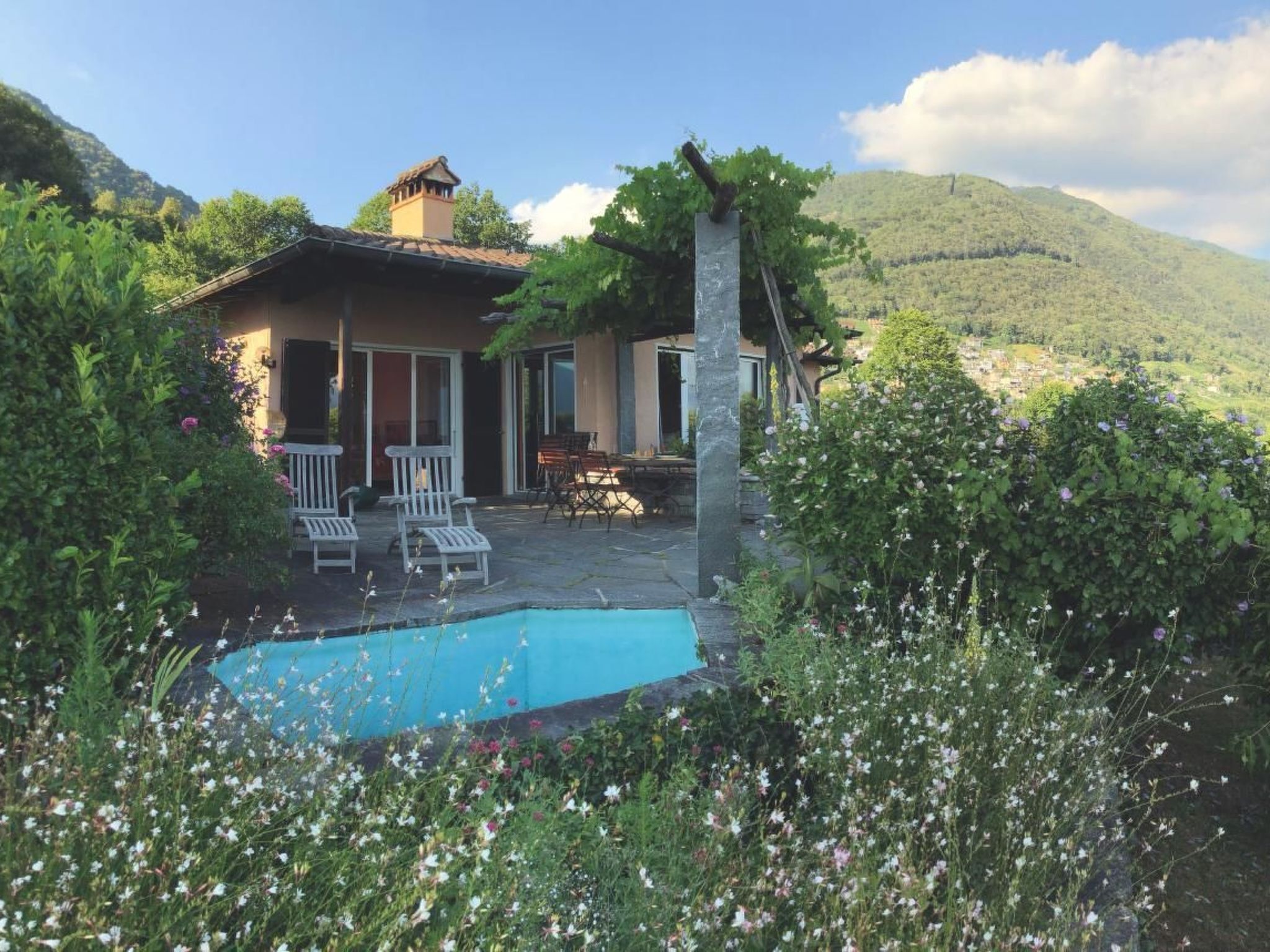 المنطقة المحيطة بالمنشأة