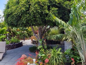 Property grounds - Secret Garden Villa - ländlicher Boutique-Rückzugsort, private tropische Gärten by Interhome (Guatiza)