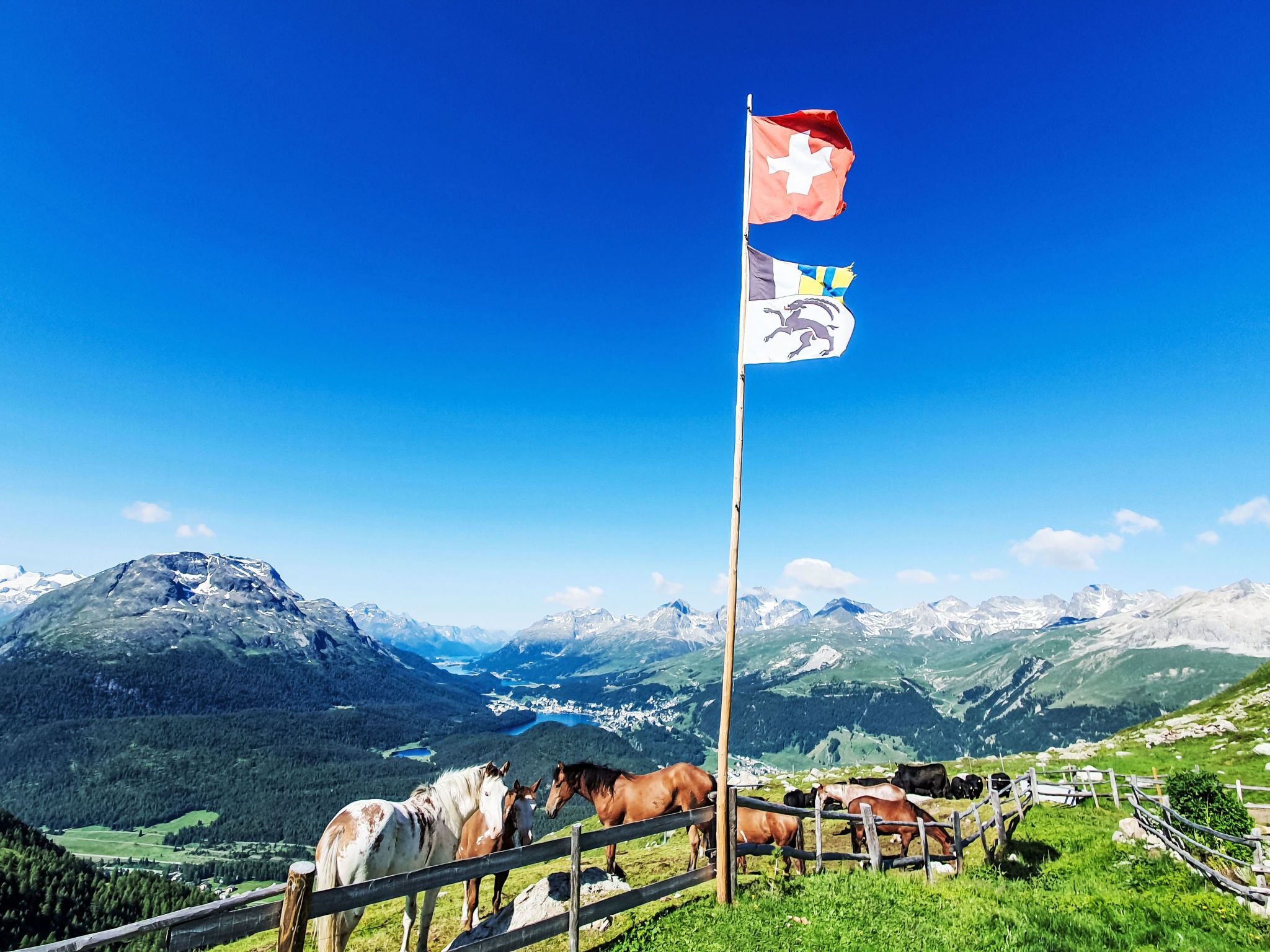 A mountainous landscape with a flagpole displaying a flag, a wooden fence, and grazing horses.