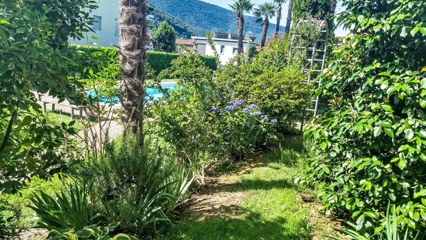 Ein Garten mit Pool, Palmen und Bergen im Hintergrund.