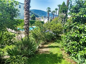 Un jardín con piscina, palmeras y una montaña al fondo.