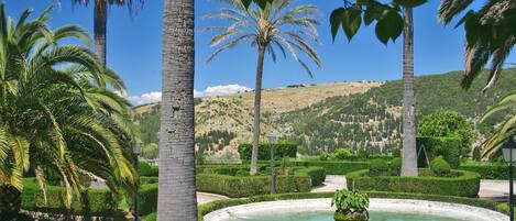 Área da propriedade