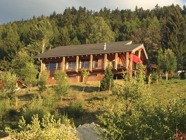 Exterior - Blue Merle by Interhome (Vercorin)