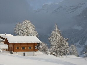 Exterior - Chalet Bärgbächli by Interhome (Grindelwald)