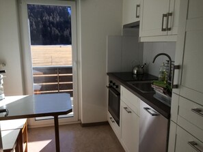Fridge, oven, dishwasher, cookware/dishes/utensils - Pablo 19 by Interhome (Sils Maria)