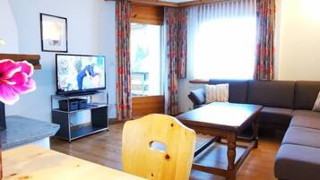 Fernseher