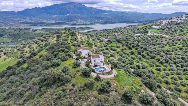 Une villa avec piscine, entourée d’oliviers et dominant un paysage montagneux.
