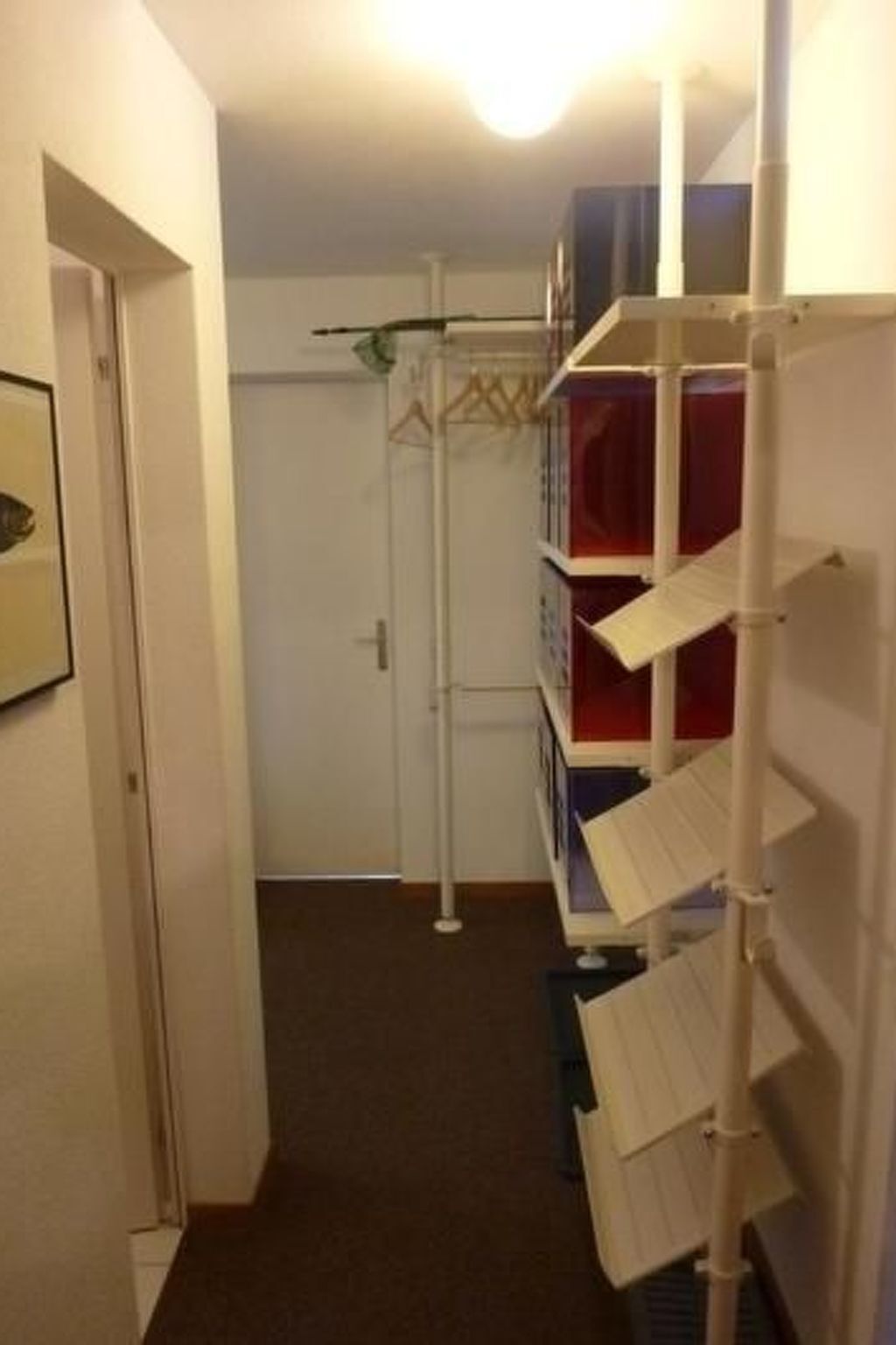 Un pasillo estrecho con una puerta blanca a la izquierda y una estantería blanca con cajas rojas y azules a la derecha.