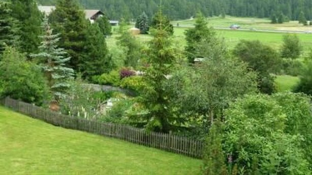 Ländliche Landschaft mit einem Haus, umgeben von üppigem Grün und einem Berg im Hintergrund.