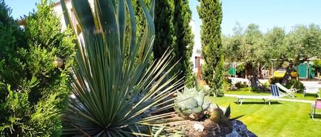 Áreas de la propiedad