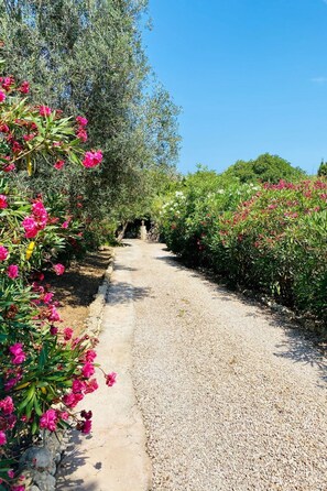 Property grounds - Adults Only Finca - Apartment zum entspannen by Interhome (Son Gall Vell)