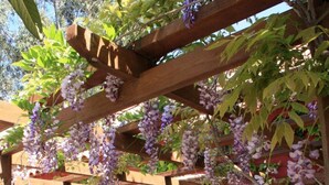 Detalle del exterior