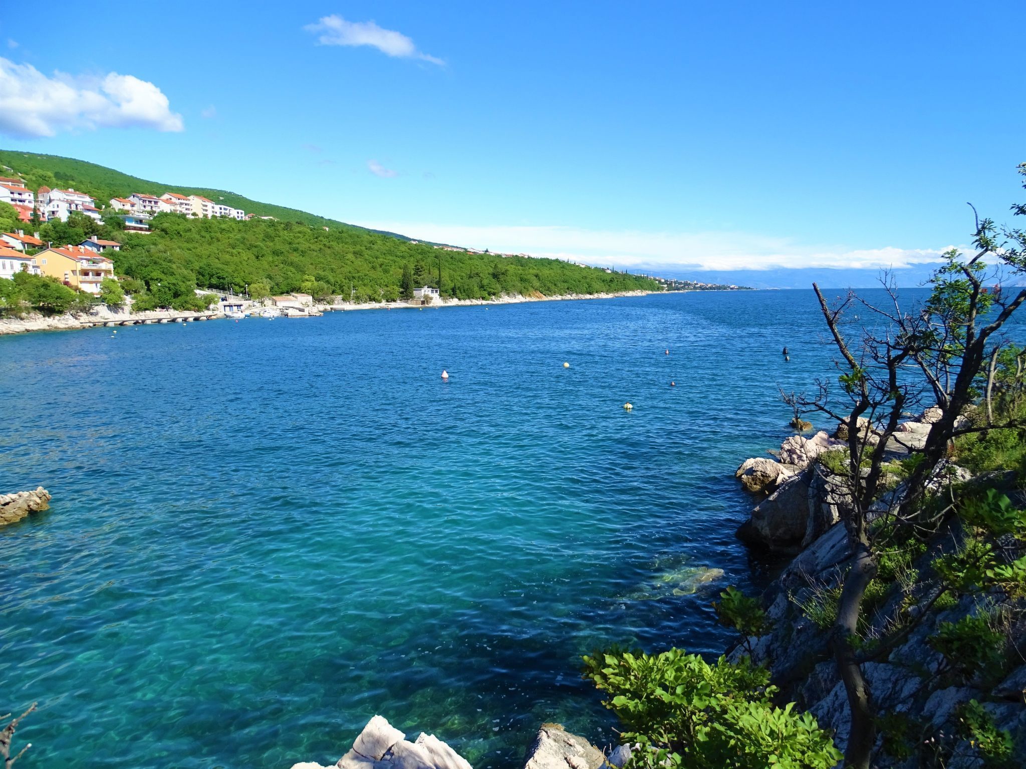 Blick auf die Küste mit klarem, blauen Wasser, felsigem Ufer und einem Hintergrund aus grünen Hügeln und Gebäuden.