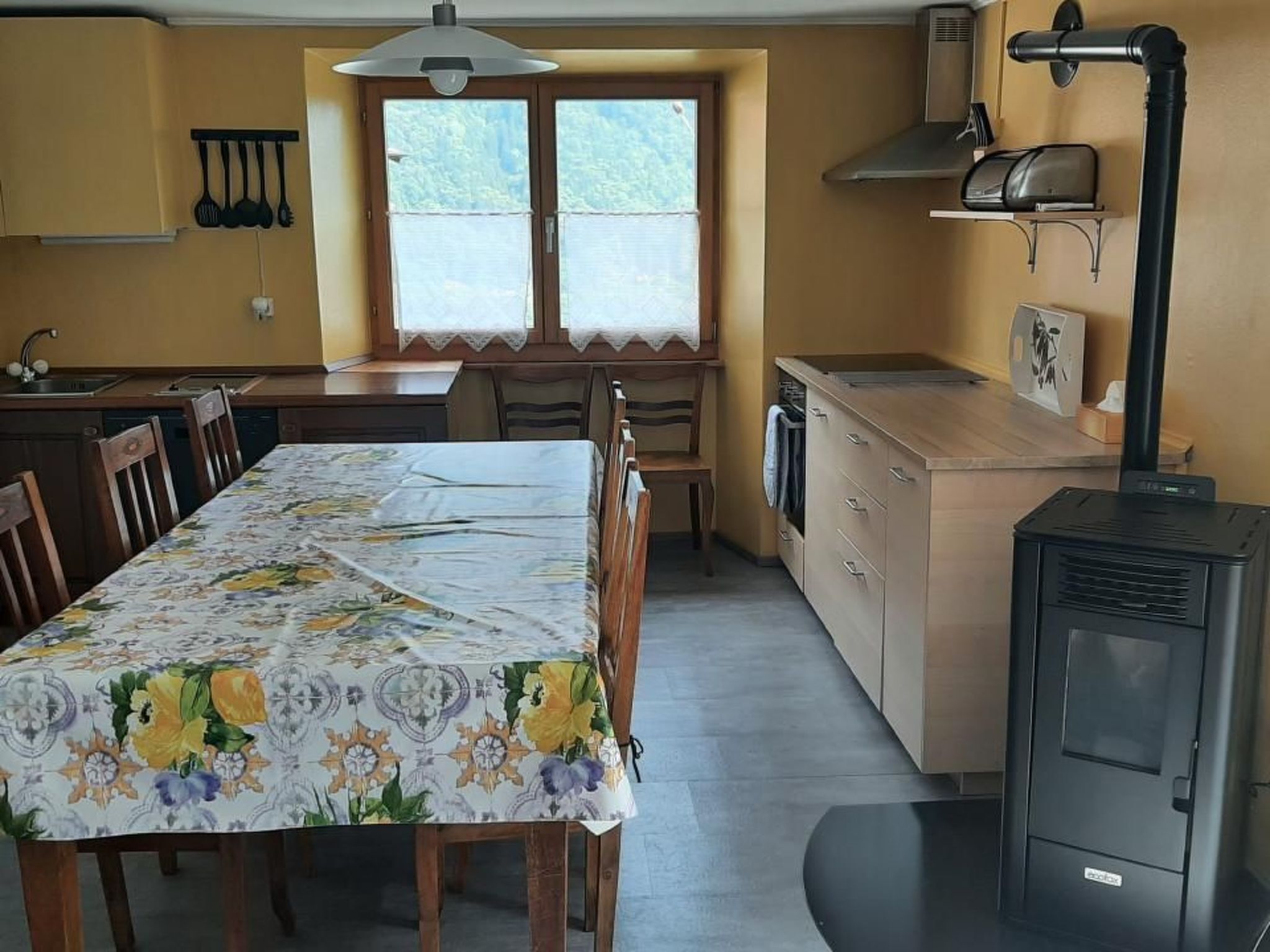 Fridge, oven, dishwasher, cookware/dishes/utensils