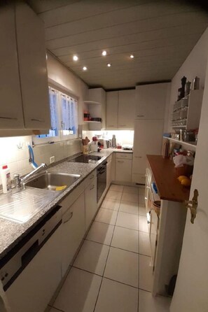 Fridge, oven, dishwasher, cookware/dishes/utensils - Casa al Maggio by Interhome (Locarno)