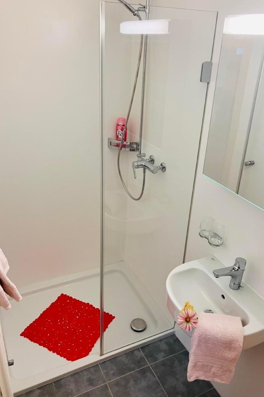 Eine Duschkabine mit einer Handbrause und einem Handtuchhalter, dazu eine rote Badmatte.