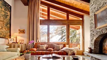 Télévision, cheminée, lecteur de DVD