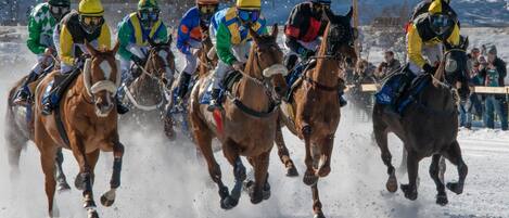 A group of horse riders in a race, with spectators in the background.