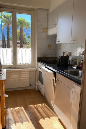 Fridge, oven, dishwasher, cookware/dishes/utensils - Alle Vigne Ascona by Interhome (Ascona)