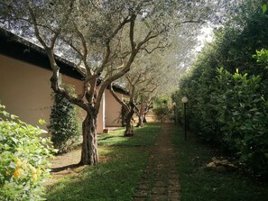 Parco della struttura