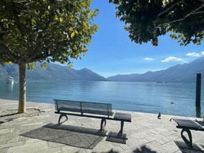 Terrace/patio - Ascona: Nostrana 1 by Interhome (Ascona)