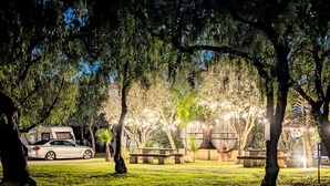 Un parque con árboles, un coche y barriles de madera.