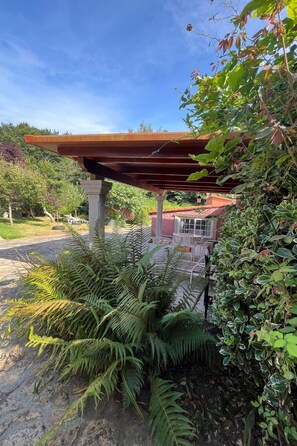 Terassi/patio