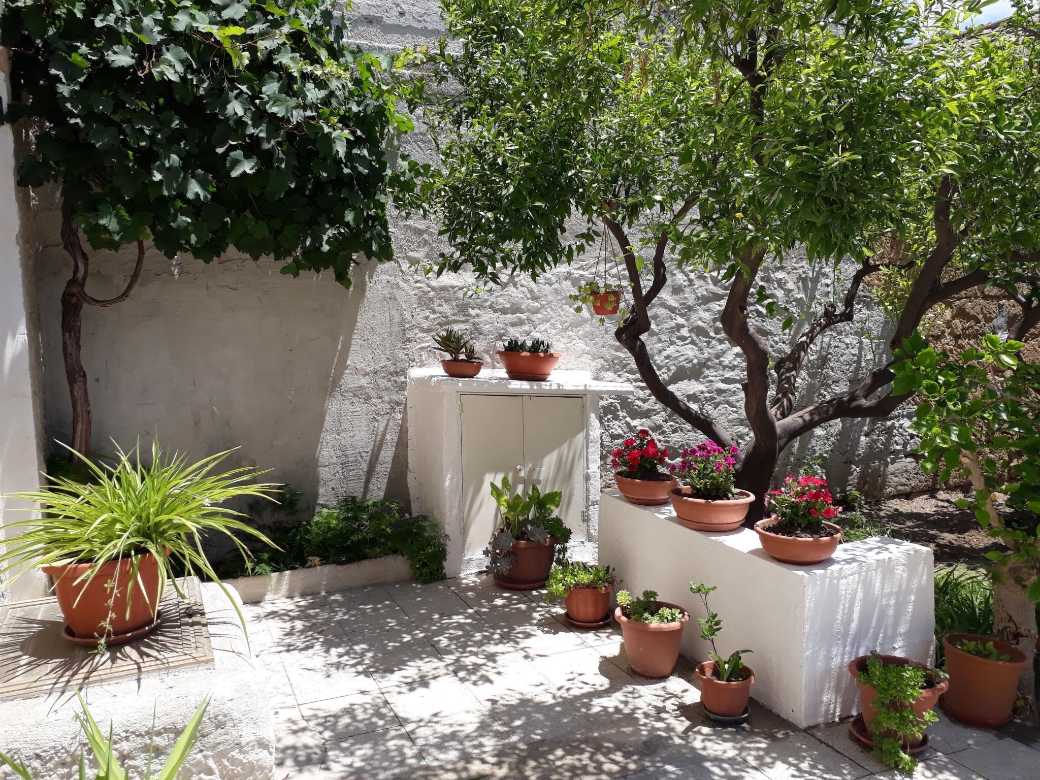 Parco della struttura