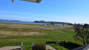 Udsigt fra et vindue over et græsmark med en sø og bygninger i det fjerne.