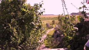 En anlagt sti snor sig gennem en frodig have med udsigt til et fjerntliggende mark.