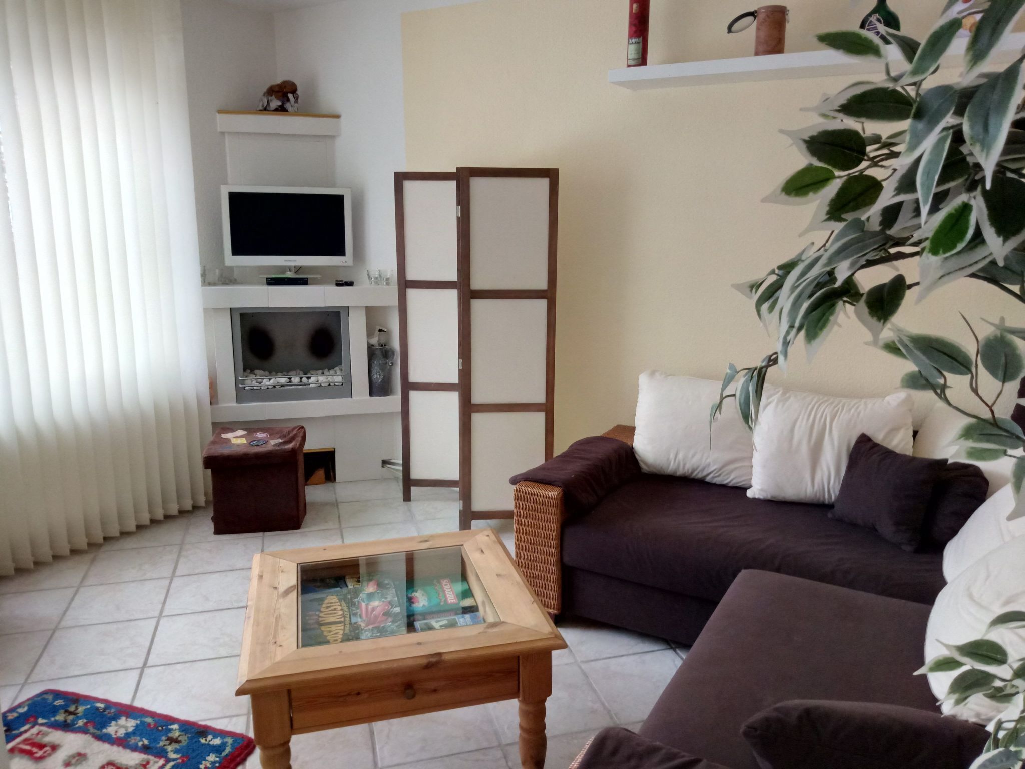 Fernseher, Kamin