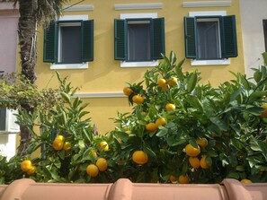 Detalle exterior