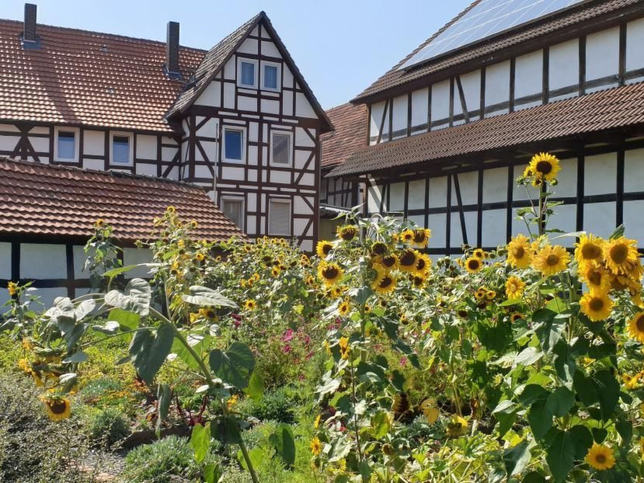 Overnattingsstedets uteområder