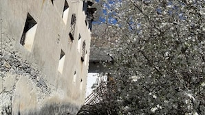 Un edificio con una facciata angolare originale e un albero con rami imbiancati dalla neve su uno sfondo di cielo azzurro.