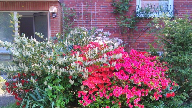 A brick building with a visible door and window, surrounded by lush greenery and flowering plants. - Wohnung in Altengroden mit Garten by Interhome (Wilhelmshaven)